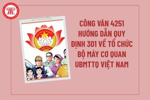 Pháp luật