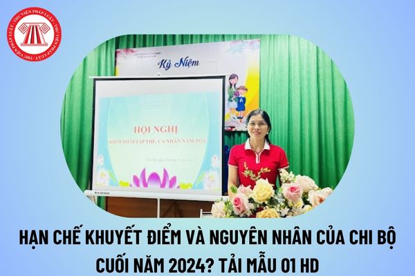 Hạn chế khuyết điểm và nguyên nhân của chi bộ cuối năm 2024? Bản kiểm điểm cá nhân Mẫu 02A 2024, 02B 2024?