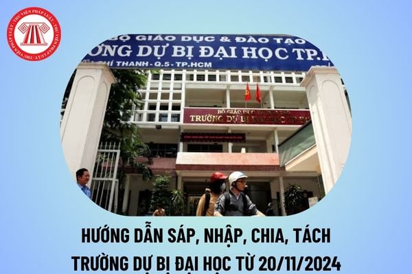 Hướng dẫn sáp nhập, chia, tách trường dự bị đại học từ 20/11/2024? Đình chỉ hoạt động giáo dục trường dự bị đại học thế nào? 