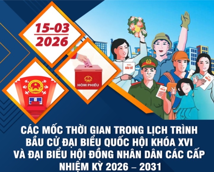 Pháp luật