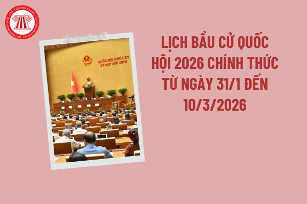 Lịch bầu cử Quốc hội 2026 chính thức từ ngày 31/1 đến 10/3/2026 được công bố ra sao? Lịch trình bầu cử Quốc hội khóa 16?