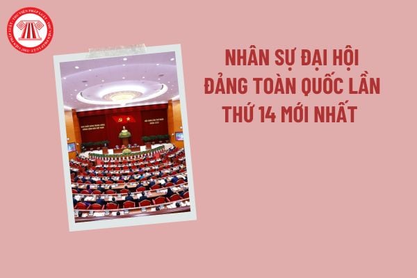 Pháp luật