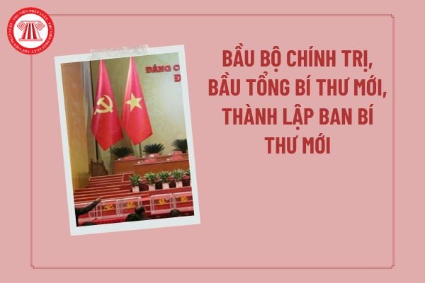 Pháp luật