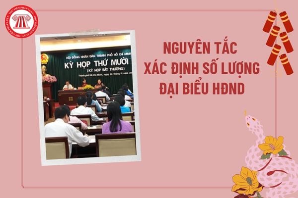 Nguyên tắc xác định số lượng đại biểu hội đồng nhân dân các cấp từ 01/03/2025 như thế nào?