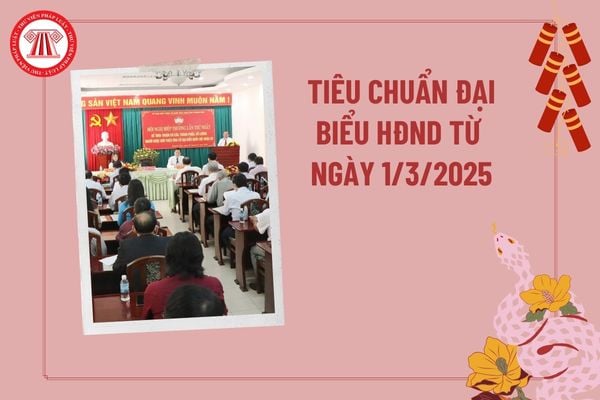 Tiêu chuẩn đại biểu Hội đồng nhân dân từ 01/3/2025? Cơ cấu tổ chức của Hội đồng nhân dân ra sao?