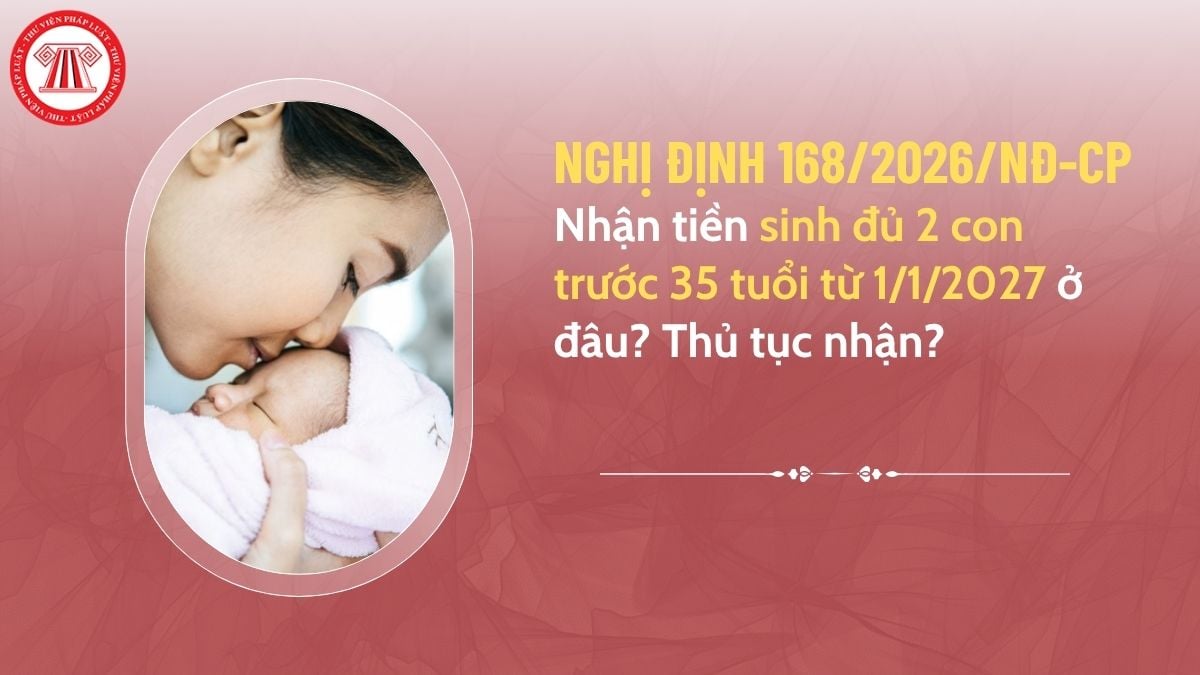 Pháp luật