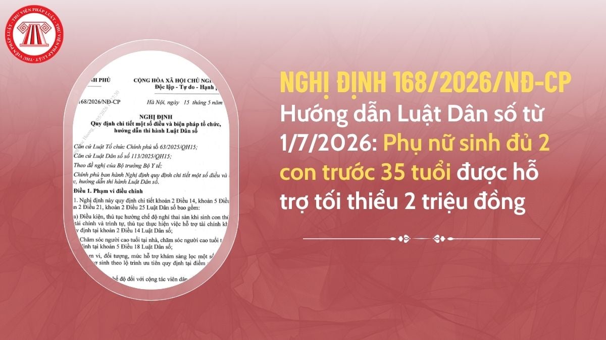 Pháp luật