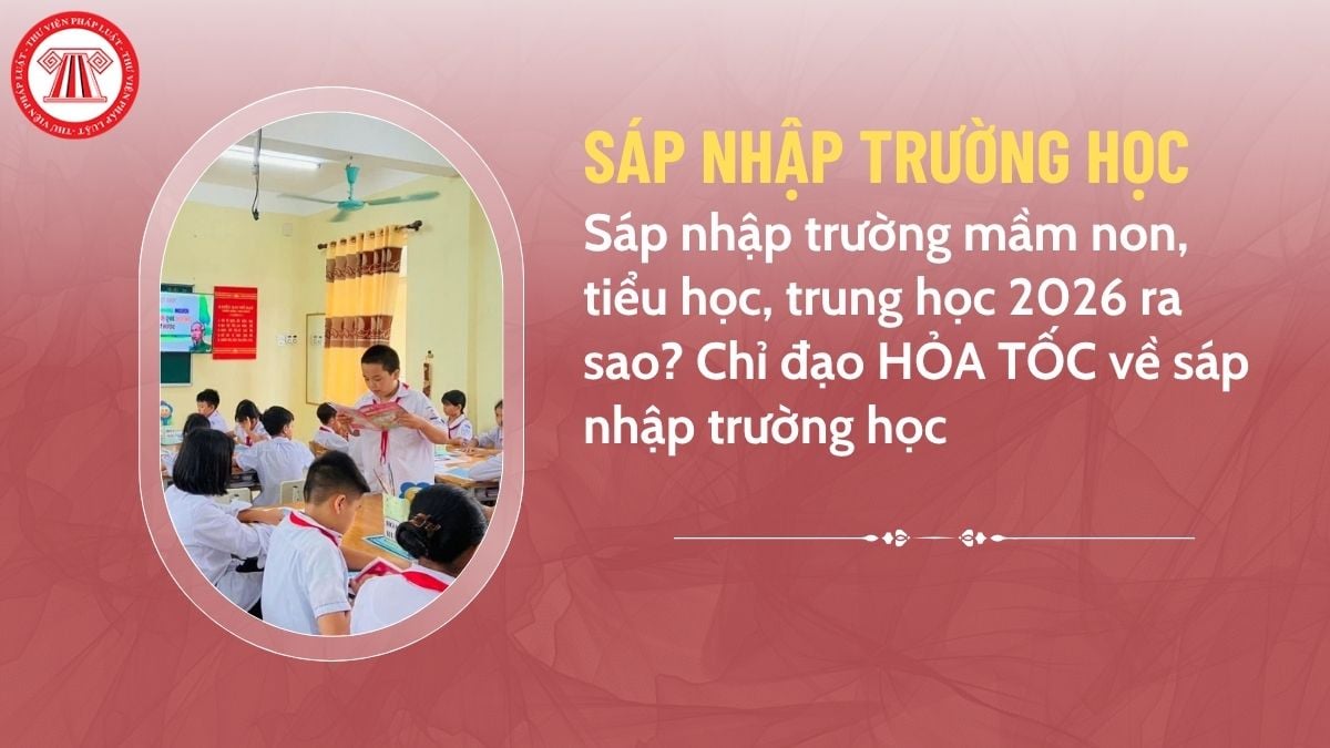Pháp luật