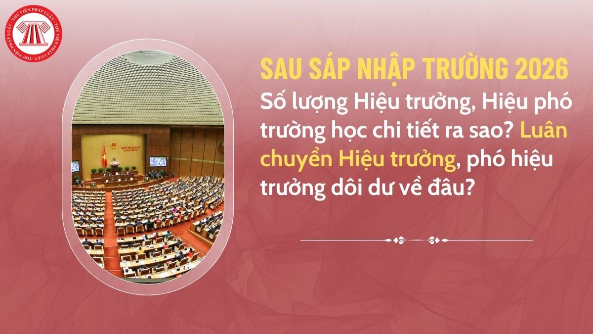 Pháp luật