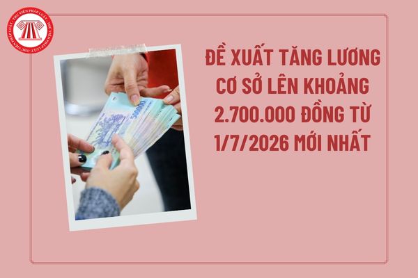 Pháp luật