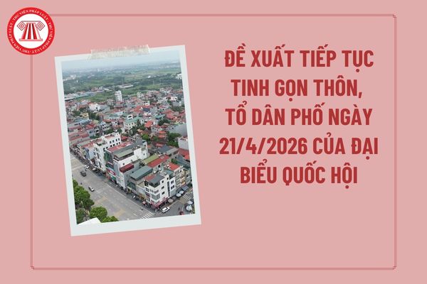 Pháp luật
