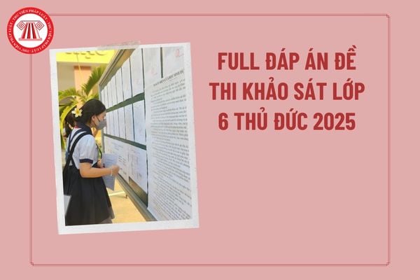 Pháp luật