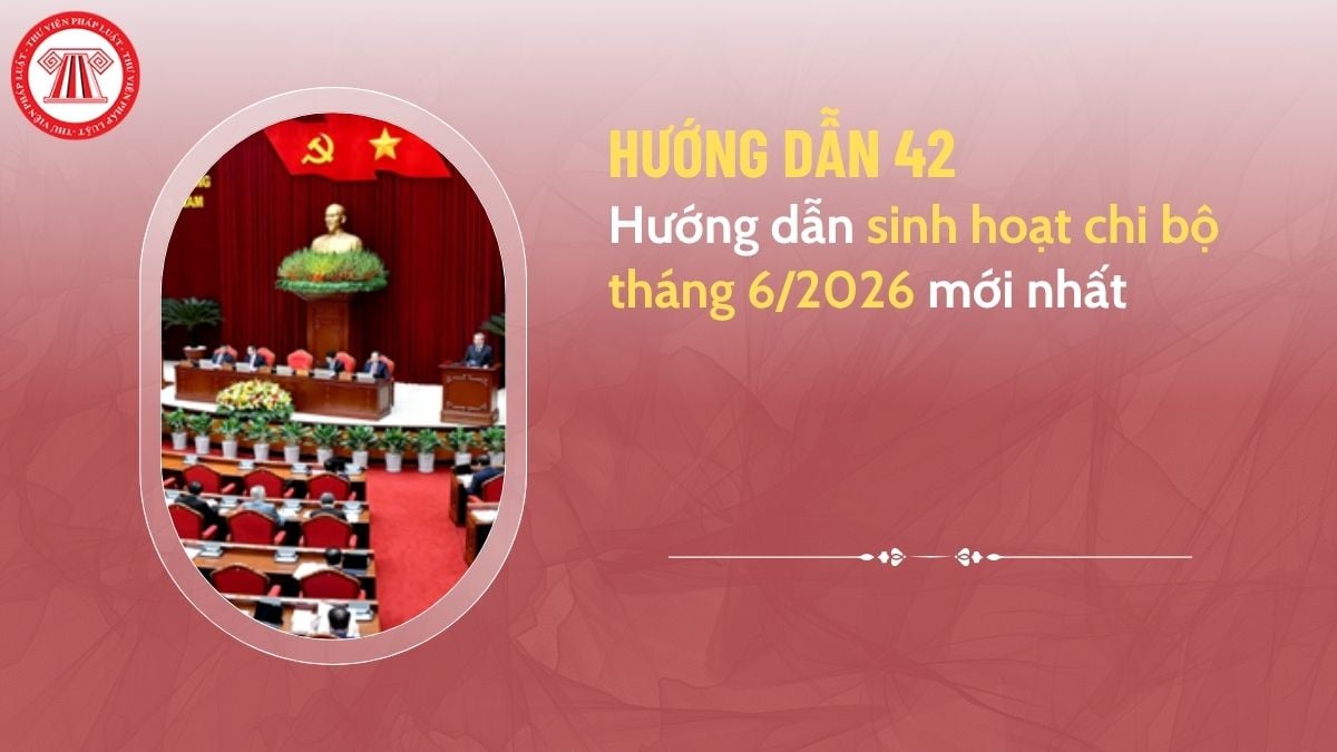 Pháp luật
