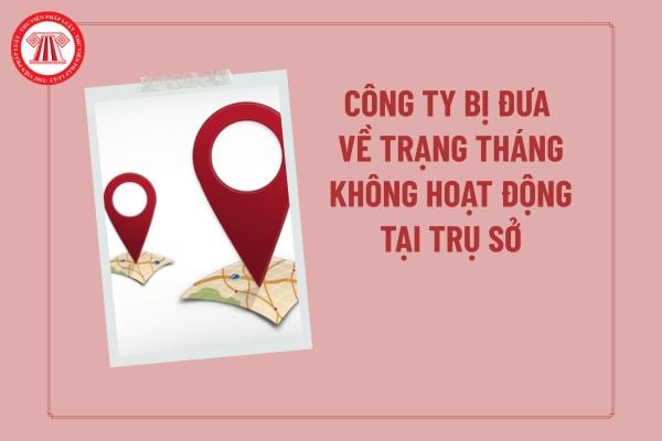 Pháp luật