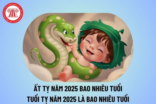 Ất Tỵ năm 2025 bao nhiêu tuổi? Tuổi Tỵ năm 2025 là bao nhiêu tuổi? Tuổi Ất Tỵ sinh năm bao nhiêu?