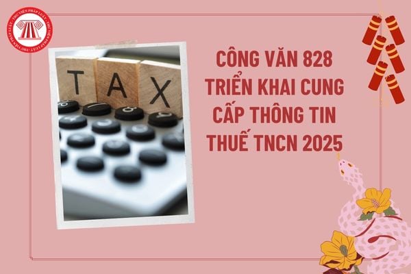 Công văn 828/TCT-KK năm 2025 triển khai cung cấp thông tin số thuế thu nhập cá nhân đã nộp thay cho cá nhân?