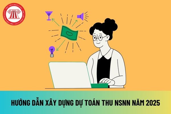 Hướng dẫn xây dựng dự toán thu NSNN năm 2025 chi tiết từ ngày 30/08/2024? Xây dựng dự toán thu nội địa như thế nào?