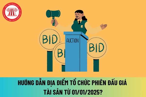 Hướng dẫn địa điểm tổ chức phiên đấu giá tài sản từ 01/01/2025? Xem tài sản đấu giá được tổ chức như thế nào? 