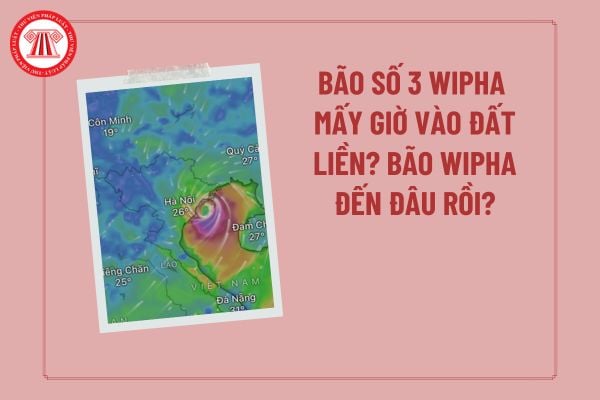 Pháp luật