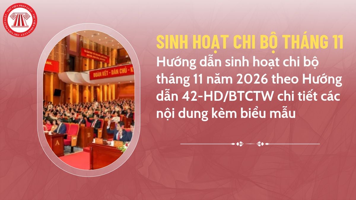 Pháp luật