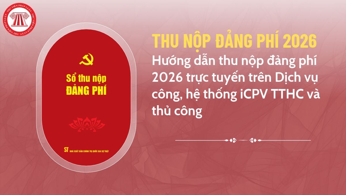 Pháp luật