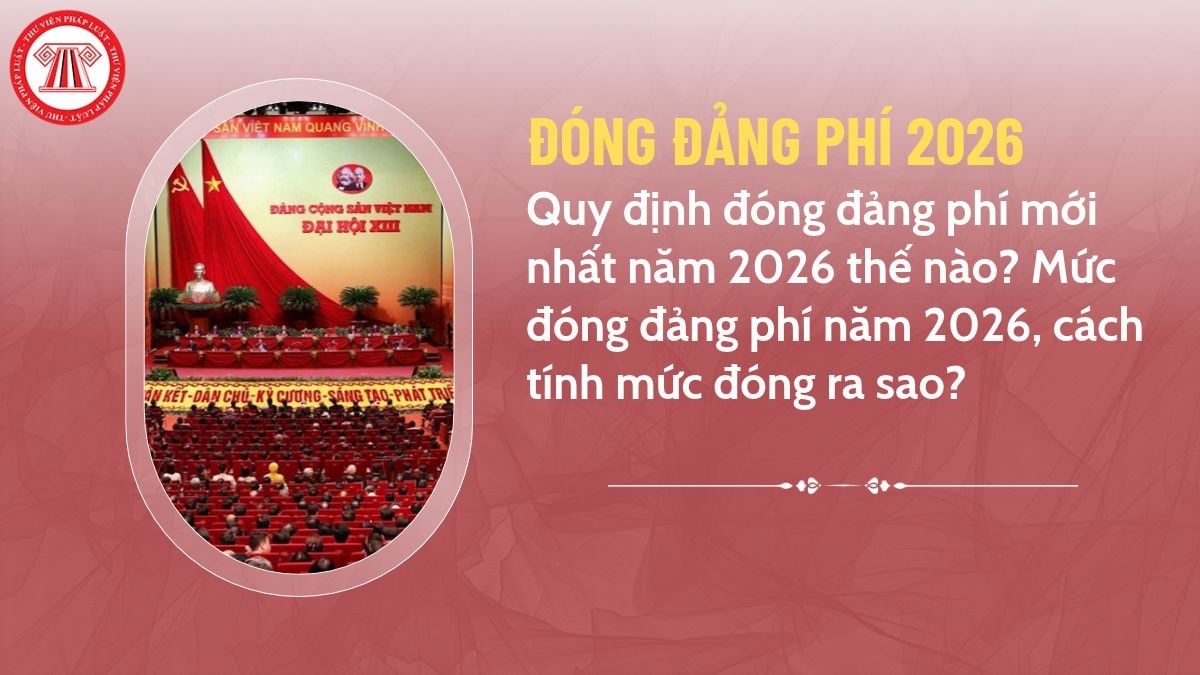 Pháp luật