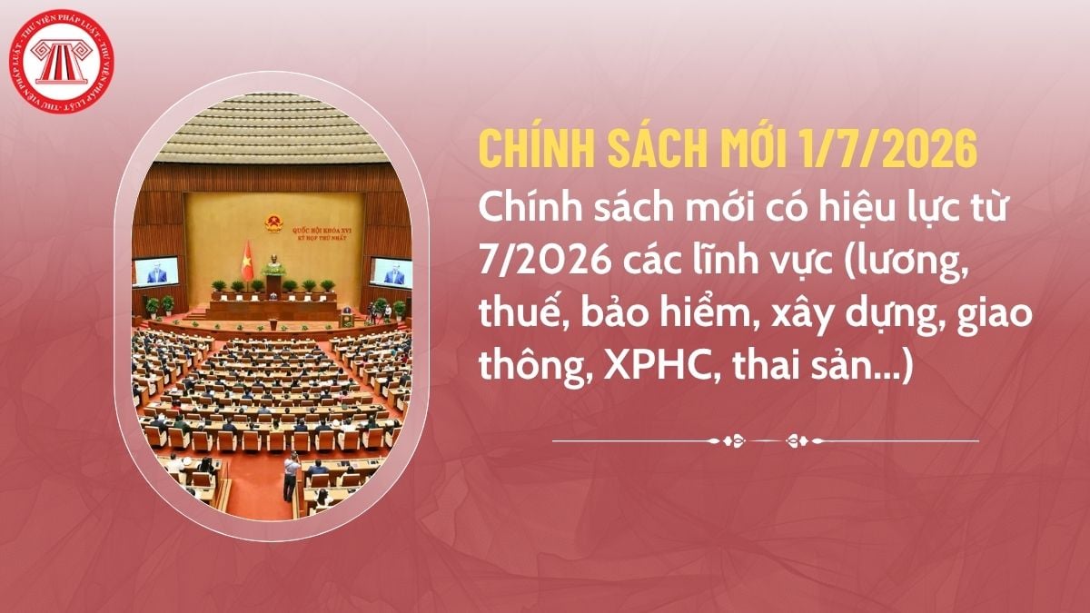 Pháp luật