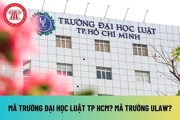 Mã trường Đại học Luật TP HCM? Mã trường ULaw? Danh sách các ngành Đại học Luật TP HCM năm 2024 2025 như thế nào?