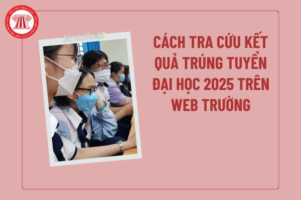 Pháp luật