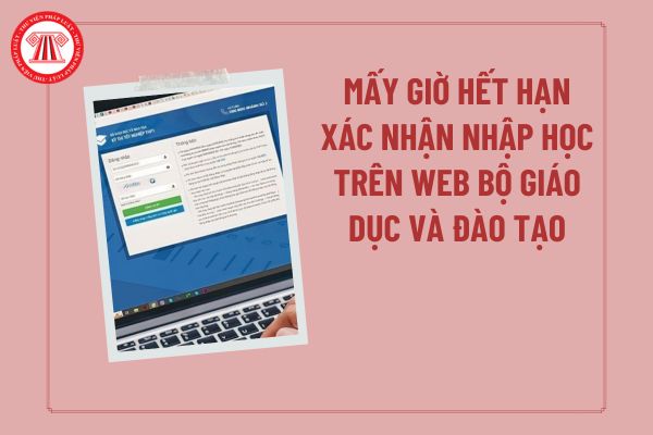 Pháp luật