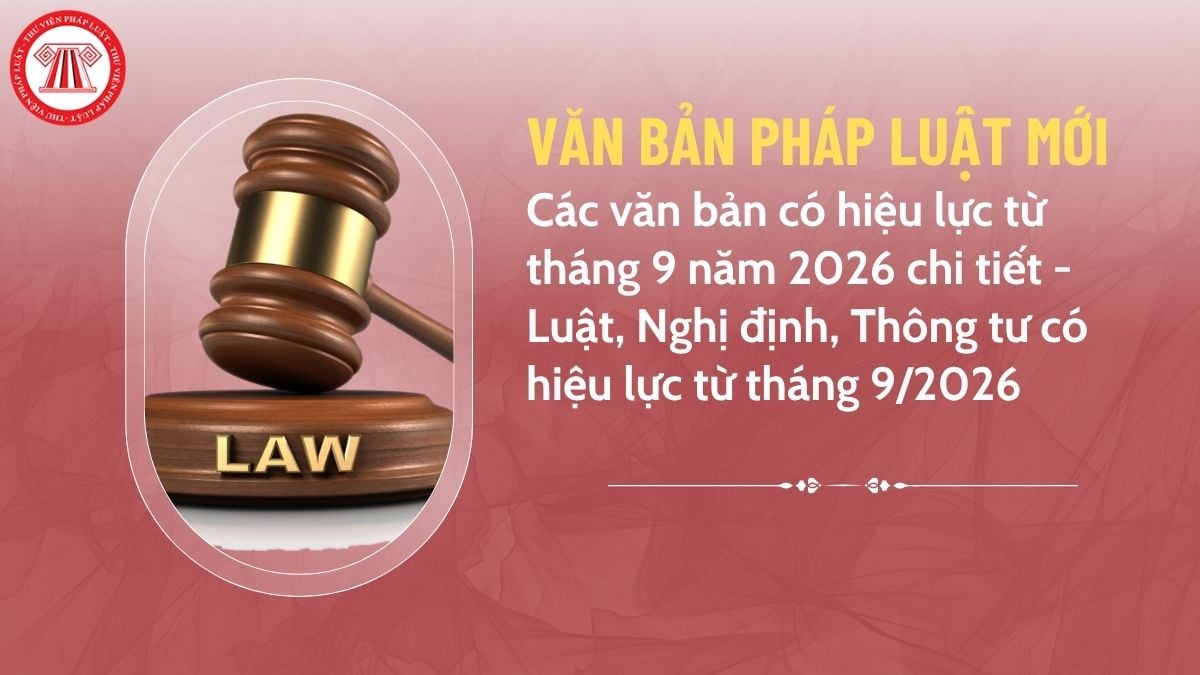 Pháp luật