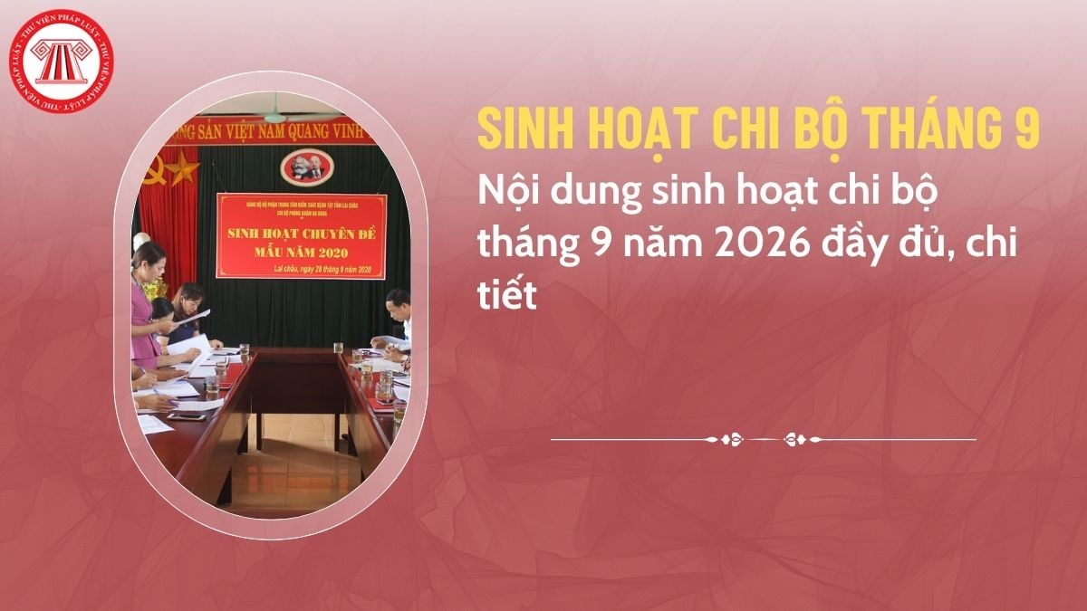 Pháp luật