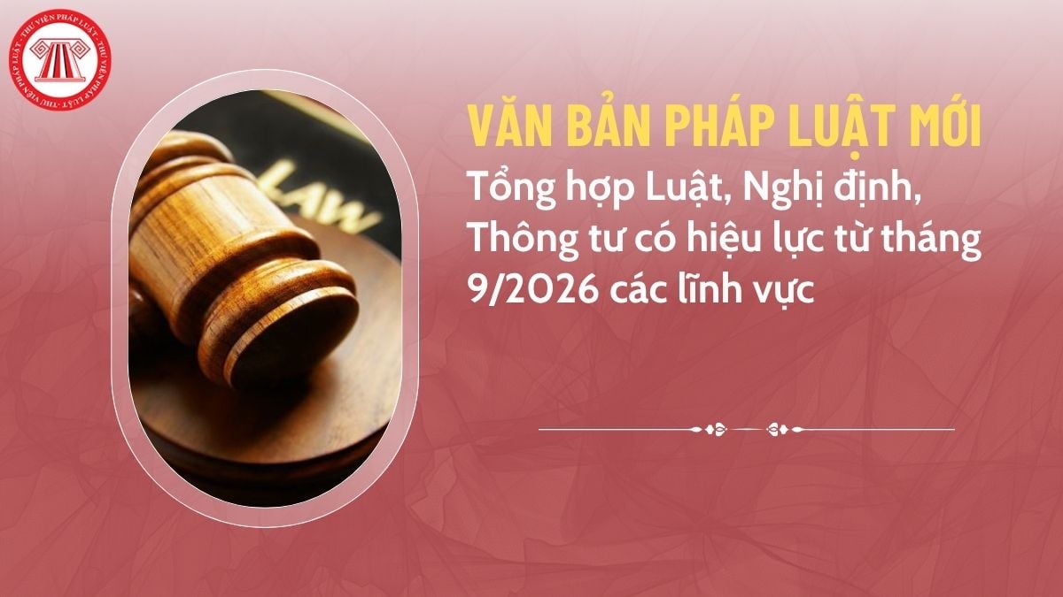 Pháp luật