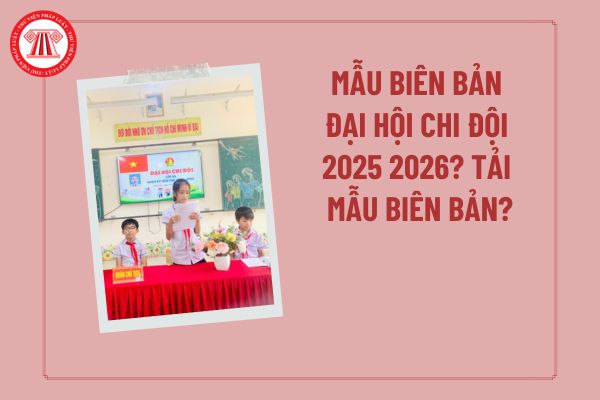 Pháp luật