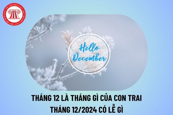 Tháng 12 là tháng gì của con trai? Tháng 12 2024 có lễ gì? Tháng 12 năm 2024 có bao nhiêu ngày?