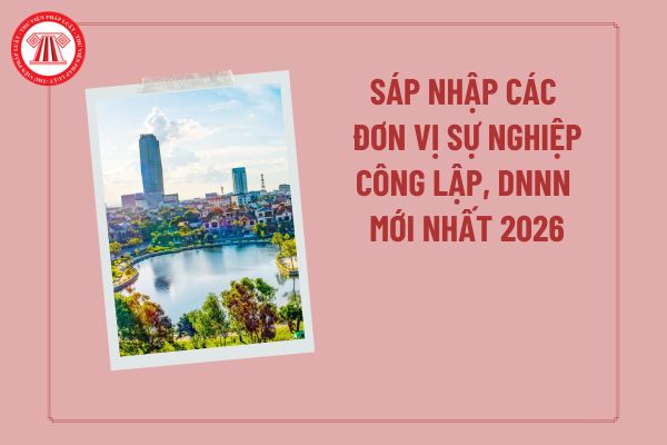 Pháp luật