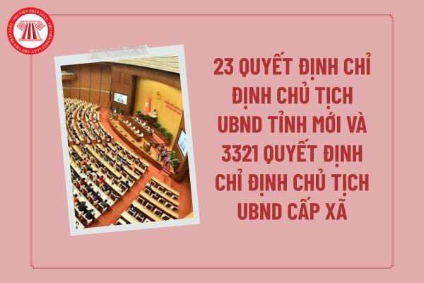 Pháp luật