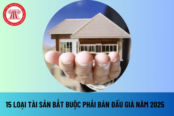 Năm 2025 15 loại tài sản bắt buộc phải bán thông qua đấu giá theo Luật Đấu giá tài sản sửa đổi 2024 thế nào?