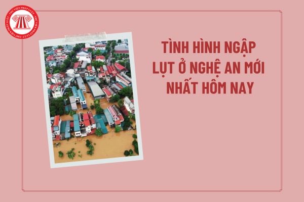 Pháp luật