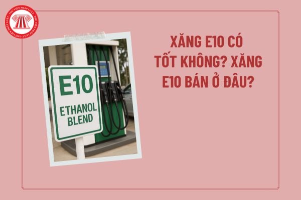 Pháp luật