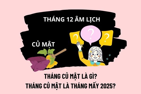 vtv5 trực tiếp bóng đá hôm nay