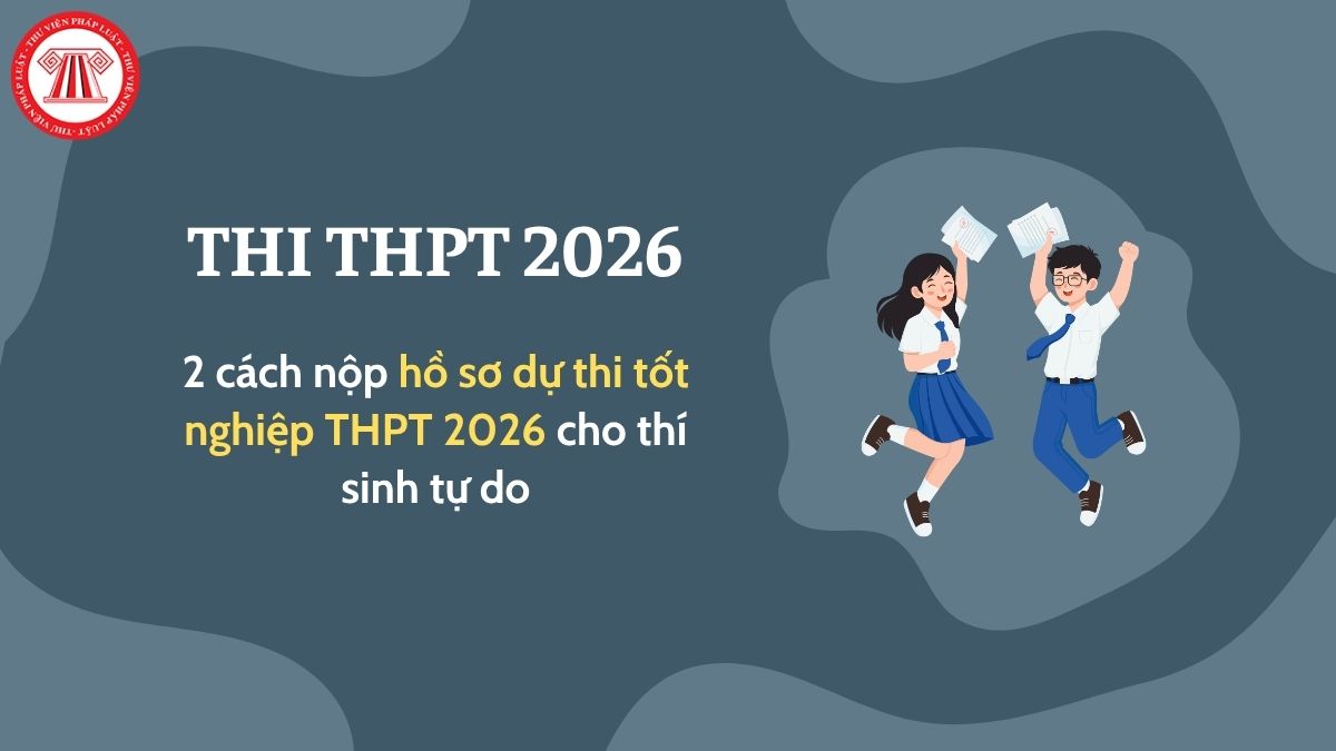 Pháp luật