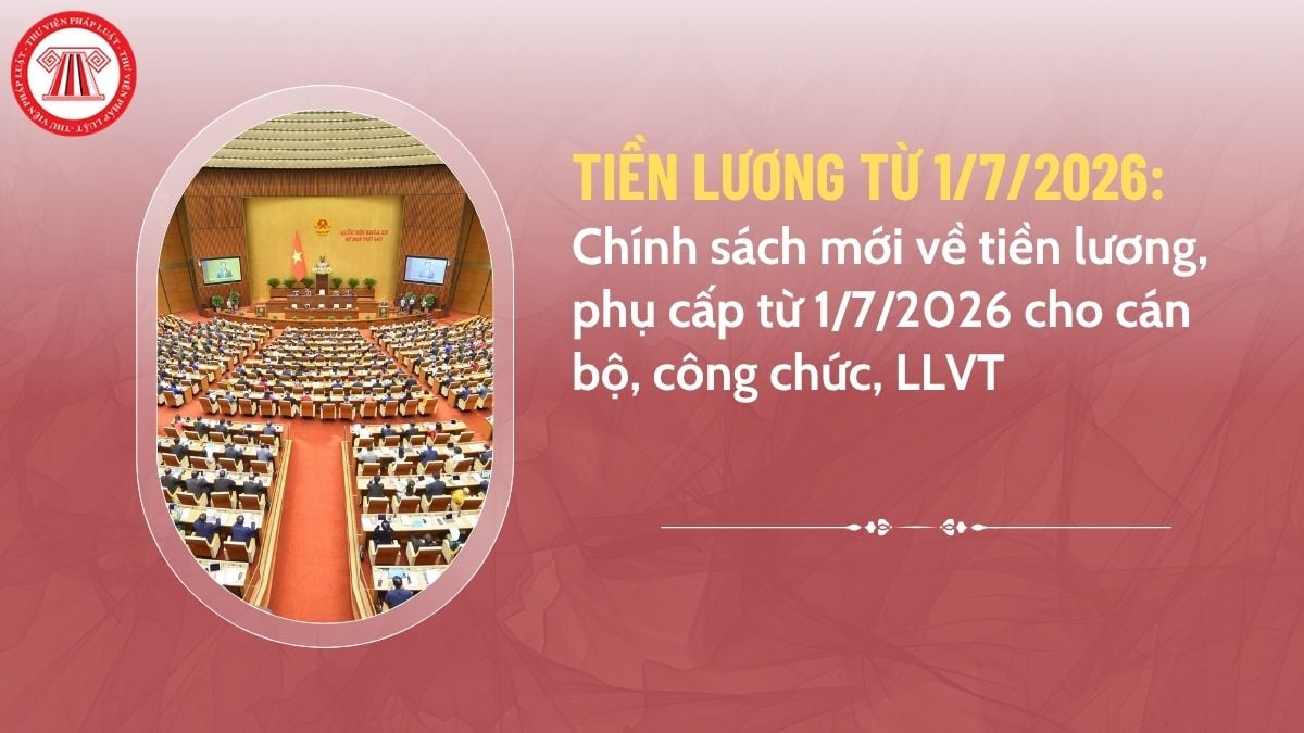 Pháp luật