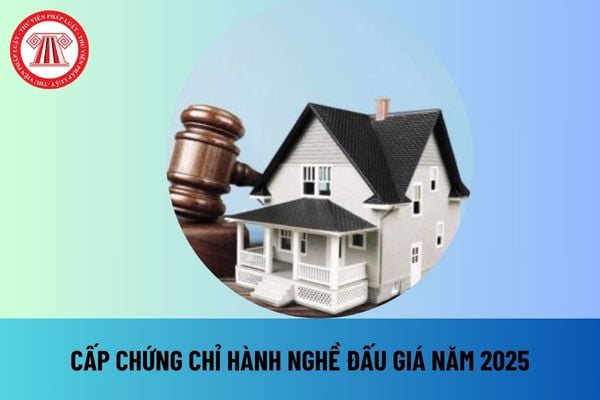 Năm 2025 không cần nộp phiếu lý lịch tư pháp khi yêu cầu cấp Chứng chỉ hành nghề đấu giá đúng không?