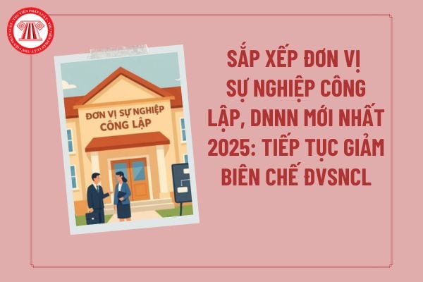 Thông tin về sắp xếp đơn vị sự nghiệp công lập, DNNN mới nhất 2025: Bộ Tài chính tiếp tục giảm biên chế đơn vị sự nghiệp ra sao?