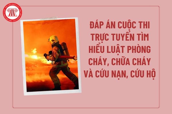 Pháp luật