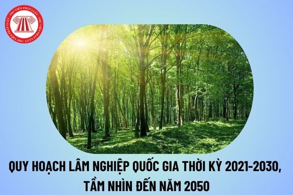 Quy hoạch lâm nghiệp quốc gia thời kỳ 2021 2030 tầm nhìn đến năm 2050 tại Quyết định 895 QĐ TTg năm 2024 thế nào?