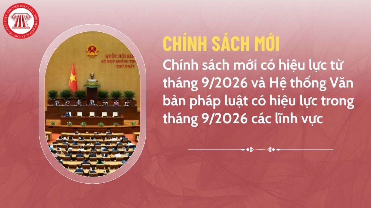Pháp luật