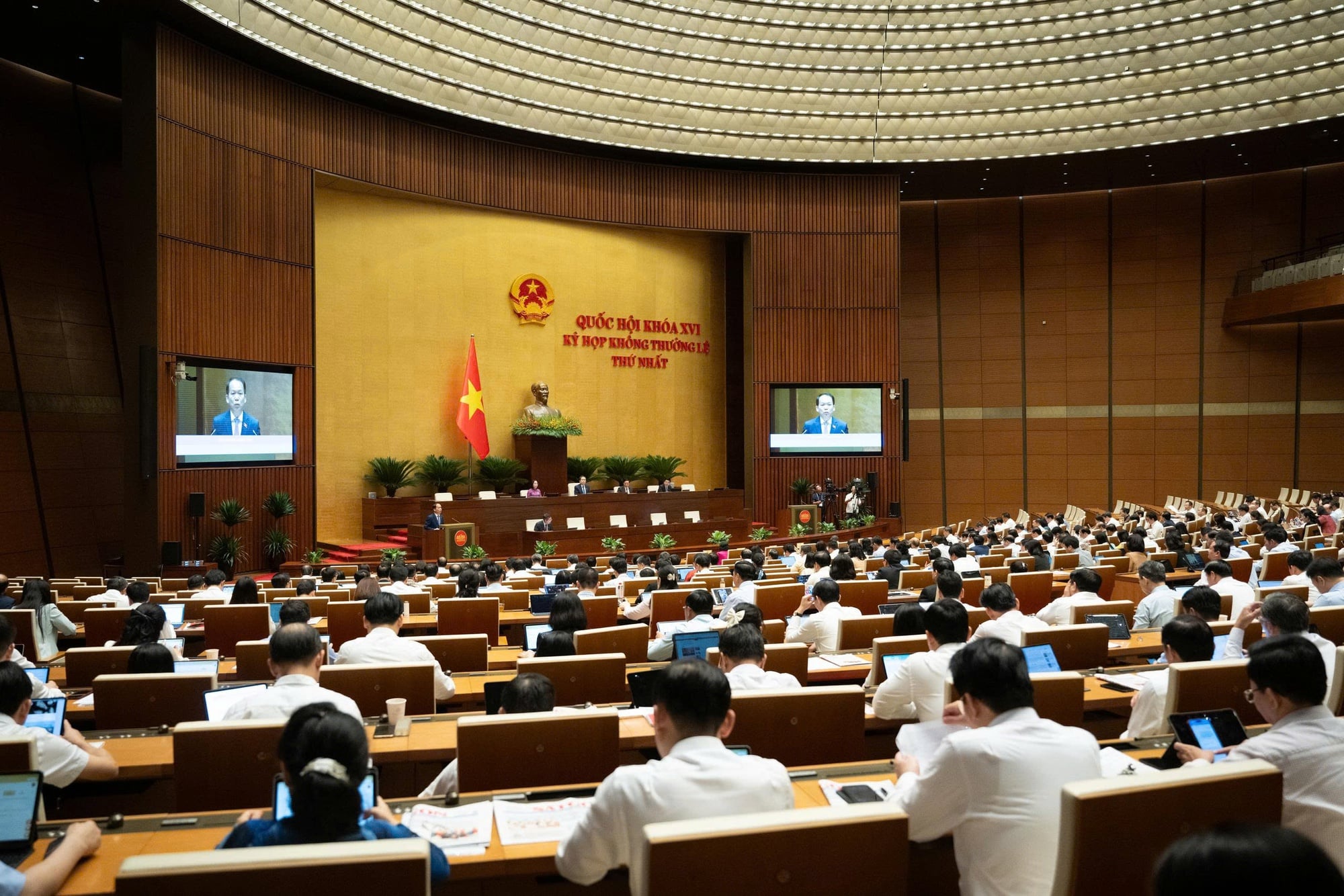 Pháp luật