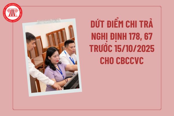 Pháp luật